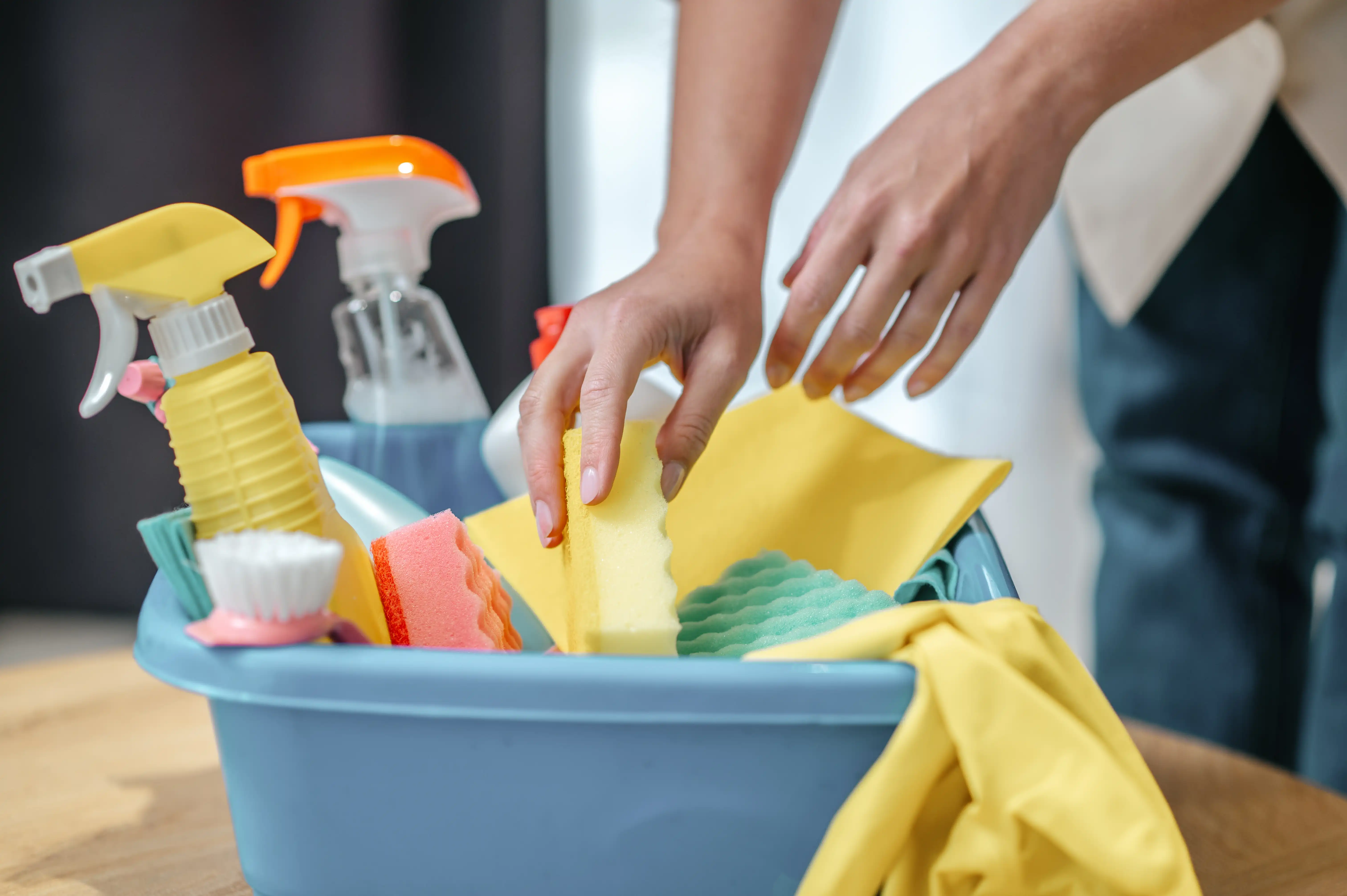 Daily Cleaning